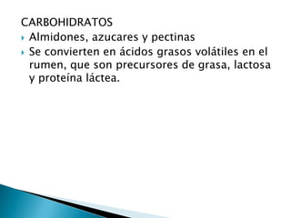 CARBOHIDRATOS
 Almidones, azucares y pectinas
 Se convierten en ácidos grasos volátiles en el
rumen, que son precursores de grasa, lactosa
y proteína láctea.
 