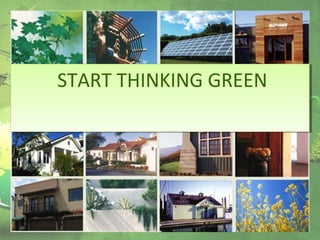 START THINKING GREENSTART THINKING GREEN
 