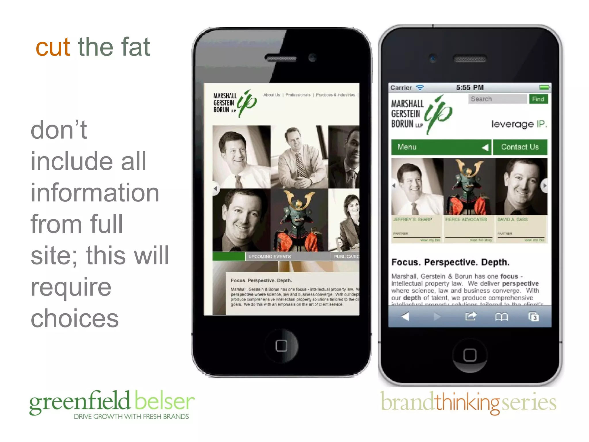 cut the fat 
don’t 
include all 
information 
from full 
site; this will 
require 
choices 
 