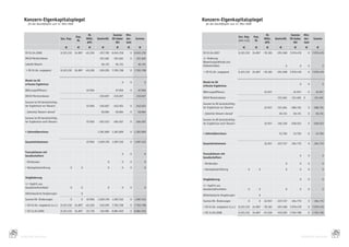Konzern-Eigenkapitalspiegel                                                                                           Konzern-Eigenkapitalspiegel
         für das Geschäftsjahr zum 31. März 2009                                                                              für das Geschäftsjahr zum 31. März 2008


                                                                       RL                   Summe     Min-                                                                           RL                   Summe      Min-
                                                       Kap.                                                                                                Gez. Kap.     Kap.
                                      Gez. Kap.                       Währ.    GewinnRL    EK-Geber   der-      Summe                                                               Währ.    GewinnRL    EK-Geber    der-     Summe
                                                        RL                                                                                                 (Anh.	3.12)    RL
                                                                      diff.                   MU      heit                                                                          diff.                   MU       heit
                                          €             €              €          €           €         €         €                                            €          €          €          €           €         €         €
       EK	01.04.2008                  8.323.332 24.897 -45.226                  -257.785 8.045.218          0 8.045.218     EK	01.04.2007                  8.323.332 24.897 -78.183           -291.568 7.978.478          0 7.978.478
       IAS19	Pensionskasse                    	               	            	    -321.661   -321.661         0   -321.661    +/-	Änderung	
                                                                                                                            Bewertungs	 ethode	und	
                                                                                                                                        m
       Latente	Steuern                        	               	            	      60.151     60.151         	    60.151     F
                                                                                                                            	 ehlerkorrektur                                                        0           0         0           0
       	=	EK	01.04.	angepasst         8.323.332 24.897 -45.226                  -519.295 7.783.708          0 7.783.708
                                                                                                                            	=	EK	01.04.	angepasst         8.323.332 24.897 -78.183           -291.568 7.978.478          0 7.978.478

       Direkt im EK
                                                                                                  0         0           0   Direkt im EK
       erfasste Ergebnisse                                                                                                                                                                                      0         0           0
                                                                                                                            erfasste Ergebnisse
       Währungsdifferenz                                              67.956          	      67.956         0    67.956
                                                                                                                            Währungsdifferenz                                       32.957                 32.957         0    32.957
       IAS19	Pensionskasse            	            	              	             -310.607   -310.607 	           -310.607
                                                                                                                            IAS19	Pensionskasse                                               -321.661   -321.661 0           -321.661
       Summe	im	EK	berücksichtig-
                                                                                                                            Summe	im	EK	berücksichtig-
       ter	Ergebnisse	vor	Steuern                                     67.956    -310.607   -242.651         0   -242.651
                                                                                                                            ter	Ergebnisse	vor	Steuern                              32.957    -321.661   -288.704         0   -288.704
       -	(latente)	Steuern	darauf                                                58.084      58.084         0    58.084
                                                                                                                            -	(latente)	Steuern	darauf                                   	     60.151      60.151         0     60.151
       Summe	im	EK	berücksichtig-
                                                                                                                            Summe	im	EK	berücksichtig-
       ter	Ergebnisse	nach	Steuern                                    67.956    -252.523   -184.567         0   -184.567
                                                                                                                            ter	Ergebnisse	nach	Steuern                             32.957    -261.510   -228.553         0   -228.553

       + Jahresüberschuss                                                      1.281.899 1.281.899          0 1.281.899
                                                                                                                            + Jahresüberschuss                                                 33.783      33.783         0    33.783

       Gesamteinkommen                                                67.956   1.029.376 1.097.332          0 1.097.332
                                                                                                                            Gesamteinkommen                                         32.957    -227.727   -194.770         0   -194.770

       Transaktionen mit
                                                                                                  0         0           0   Transaktionen mit
       Gesellschaftern                                                                                                                                                                                          0         0           0
                                                                                                                            Gesellschaftern
       -	Dividenden                           	               	            	          0           0         0           0
                                                                                                                            -	Dividenden                                                            0           0         0           0
       +	Barkapitalerhöhung                   0               0            	          0           0         0           0
                                                                                                                            +	Barkapitalerhöhung                    0           0                   0           0         0           0

       Umgliederung
                                                                                                                            Umgliederung                            	           	        	          	           0         0           0
       +/-	KapErh	aus		
                      	
                                                                                                                            +/-	KapErh	aus		
                                                                                                                                           	
       Gesellschaftsmitteln                   0               0            	          0           0         0           0
                                                                                                                            Gesellschaftsmitteln                    0           0                   0           0         0           0
       Aktienbasierte	Vergütungen	            	               0            	          	           	         	           	
                                                                                                                            Aktienbasierte	Vergütungen	                         0                                                     	
       Summe	EK-	Änderungen                   0               0       67.956   1.029.376 1.097.332          0 1.097.332
                                                                                                                            Summe	EK-	Änderungen                    0           0   32.957    -227.727   -194.770         0   -194.770
       +	EK	01.04.	angepasst	(s.o.)   8.323.332 24.897 -45.226                  -519.295 7.783.708          0 7.783.708
                                                                                                                            +	EK	01.04.	angepasst	(s.o.)   8.323.332 24.897 -78.183           -291.568 7.978.478          0 7.978.478
       =	EK	31.03.2009                8.323.332 24.897                22.730     510.081 8.881.040          0 8.881.040
                                                                                                                            =	EK	31.03.2008                8.323.332 24.897 -45.226           -519.295 7.783.708          0 7.783.708




82                                                                                                                                                                                                                                        83
     KONZERN-ANHANG                                                                                                                                                                                                 KONZERN-ANHANG
 