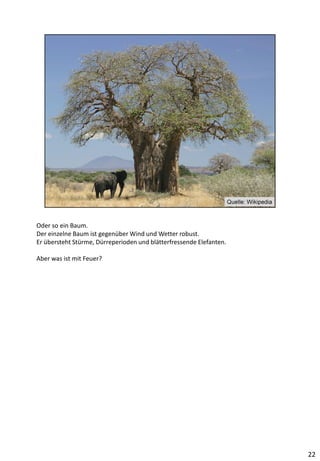 Oder so ein Baum.
Der einzelne Baum ist gegenüber Wind und Wetter robust.
Er übersteht Stürme, Dürreperioden und blätterfressende Elefanten.
Aber was ist mit Feuer?
22
 