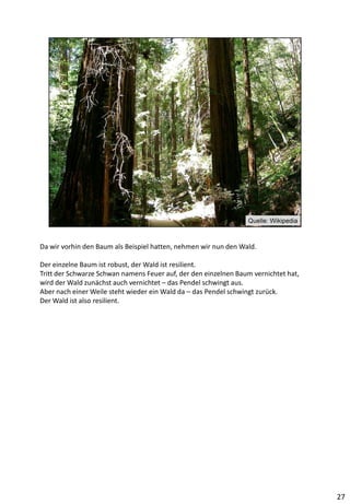 Da wir vorhin den Baum als Beispiel hatten, nehmen wir nun den Wald.
Der einzelne Baum ist robust, der Wald ist resilient.
Tritt der Schwarze Schwan namens Feuer auf, der den einzelnen Baum vernichtet hat,
wird der Wald zunächst auch vernichtet – das Pendel schwingt aus.
Aber nach einer Weile steht wieder ein Wald da – das Pendel schwingt zurück.
Der Wald ist also resilient.
27
 