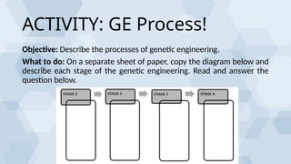 processes of genetic engineering powerpoint presentation | PPTX