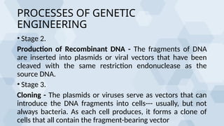 processes of genetic engineering powerpoint presentation | PPTX