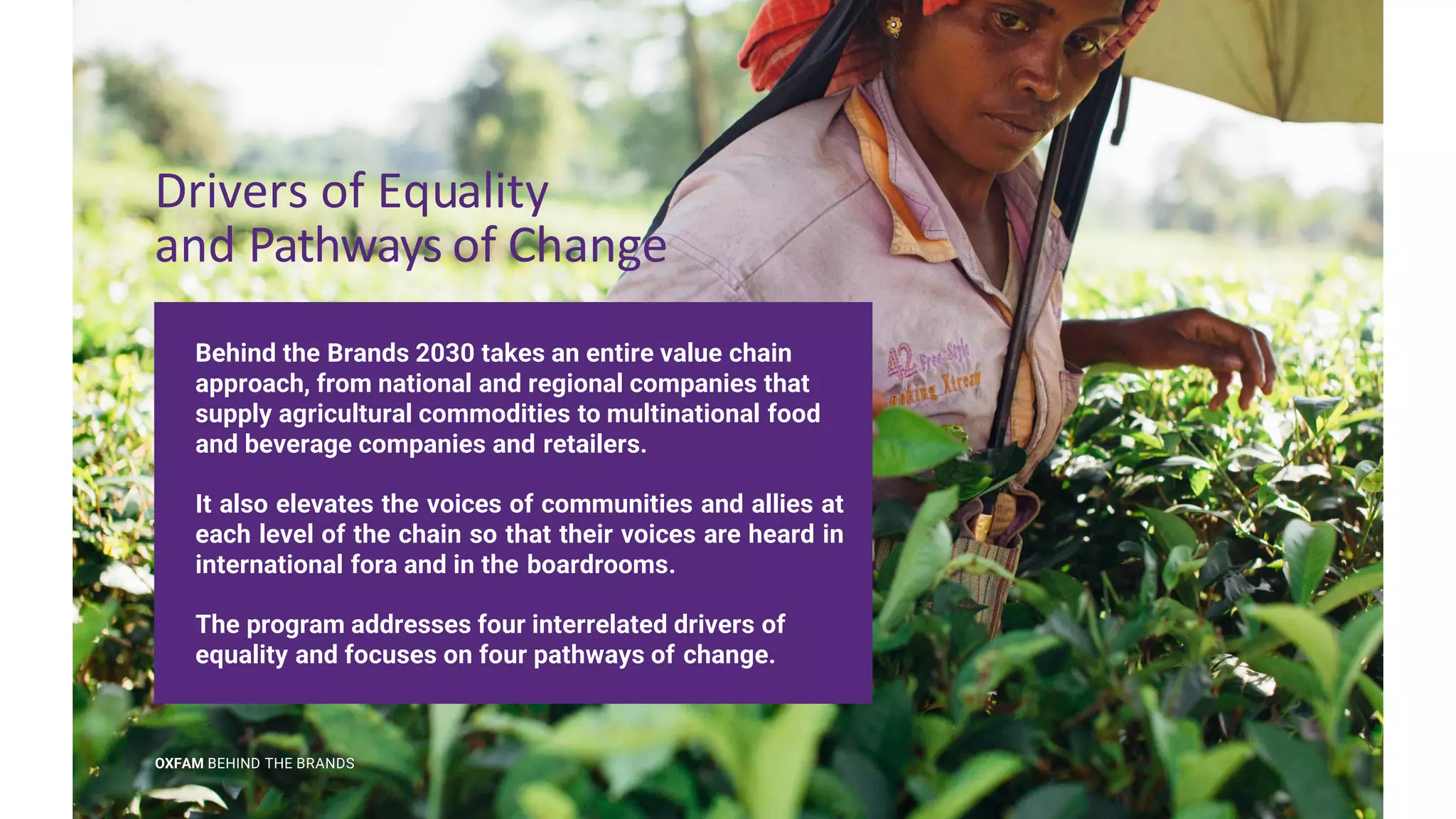 Transforming Your Supply Chain to Prioritize Human Rights - Piya ...