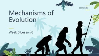 Mechanisms of
Evolution
9th Grade
 