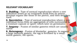 GB2 Q4W1 -INTRODUCTION TO REPRODUCTION Session 1 (2) (1).pptx