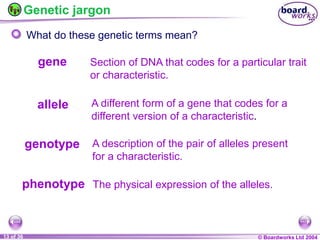Gene Form GB2 W3L3 Genetics.ppt