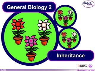 © Boardworks Ltd 2004
1 of 36
General Biology 2
Inheritance
 