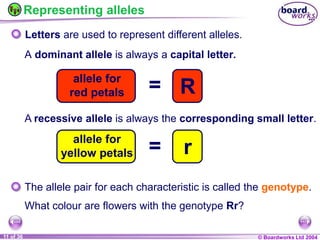 General Biology 2 W3L3 Inheritance and Variations.ppt