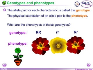 General Biology 2 W3L3 Inheritance and Variations.ppt