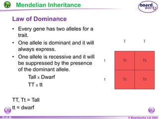 General Biology 2 W3L3 Inheritance and Variations.ppt