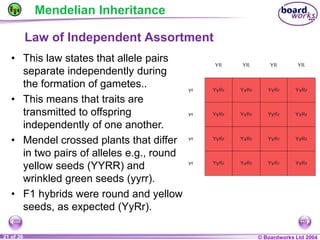 General Biology 2 W3L3 Inheritance and Variations.ppt