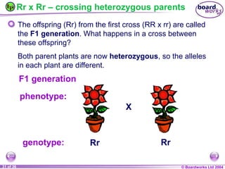 General Biology 2 W3L3 Inheritance and Variations.ppt