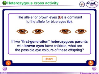General Biology 2 W3L3 Inheritance and Variations.ppt