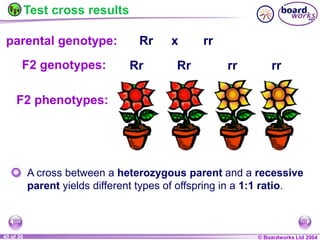 General Biology 2 W3L3 Inheritance and Variations.ppt