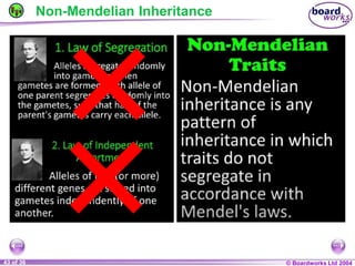 General Biology 2 W3L3 Inheritance and Variations.ppt