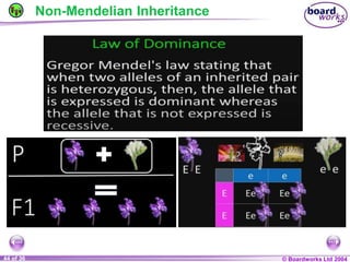 General Biology 2 W3L3 Inheritance and Variations.ppt