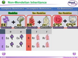General Biology 2 W3L3 Inheritance and Variations.ppt