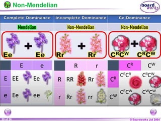 General Biology 2 W3L3 Inheritance and Variations.ppt
