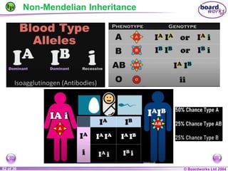 General Biology 2 W3L3 Inheritance and Variations.ppt