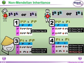 General Biology 2 W3L3 Inheritance and Variations.ppt