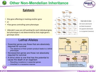 General Biology 2 W3L3 Inheritance and Variations.ppt