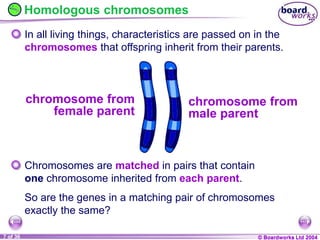 General Biology 2 W3L3 Inheritance and Variations.ppt