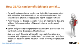 https://animalhealthmetrics.org
How GBADs can benefit Ethiopia cont’d….
• Currently data on disease burden are limited to losses associated
with individual diseases which do not allow to understand the
actual burden of animal diseases and health losses holistically
• Policy making for disease control is reliant on incomplete data and
without full understanding of livestock disease burdens and
priorities
• GBADs will generate comprehensive quantitative evidence on the
burden of animal diseases and health losses
• As a case study Ethiopia will benefit more as information and
evidence will be generated on Ethiopia’s situation that can inform
important decisions as the national, sector, industry and producer
level
 