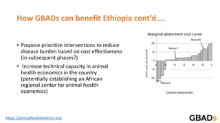 https://animalhealthmetrics.org
How GBADs can benefit Ethiopia cont’d….
• Propose prioritize interventions to reduce
disease burden based on cost effectiveness
(in subsequent phases?)
• Increase technical capacity in animal
health economics in the country
(potentially establishing an African
regional center for animal health
economics)
Marginal abatement cost curve
 