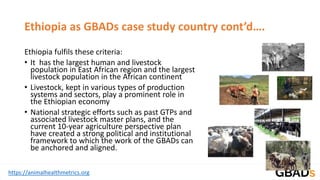 Global Burden of Animal Diseases: Ethiopia case study