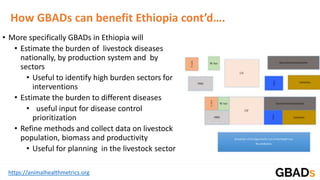 Global Burden of Animal Diseases: Ethiopia case study