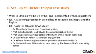 Global Burden of Animal Diseases: Ethiopia case study