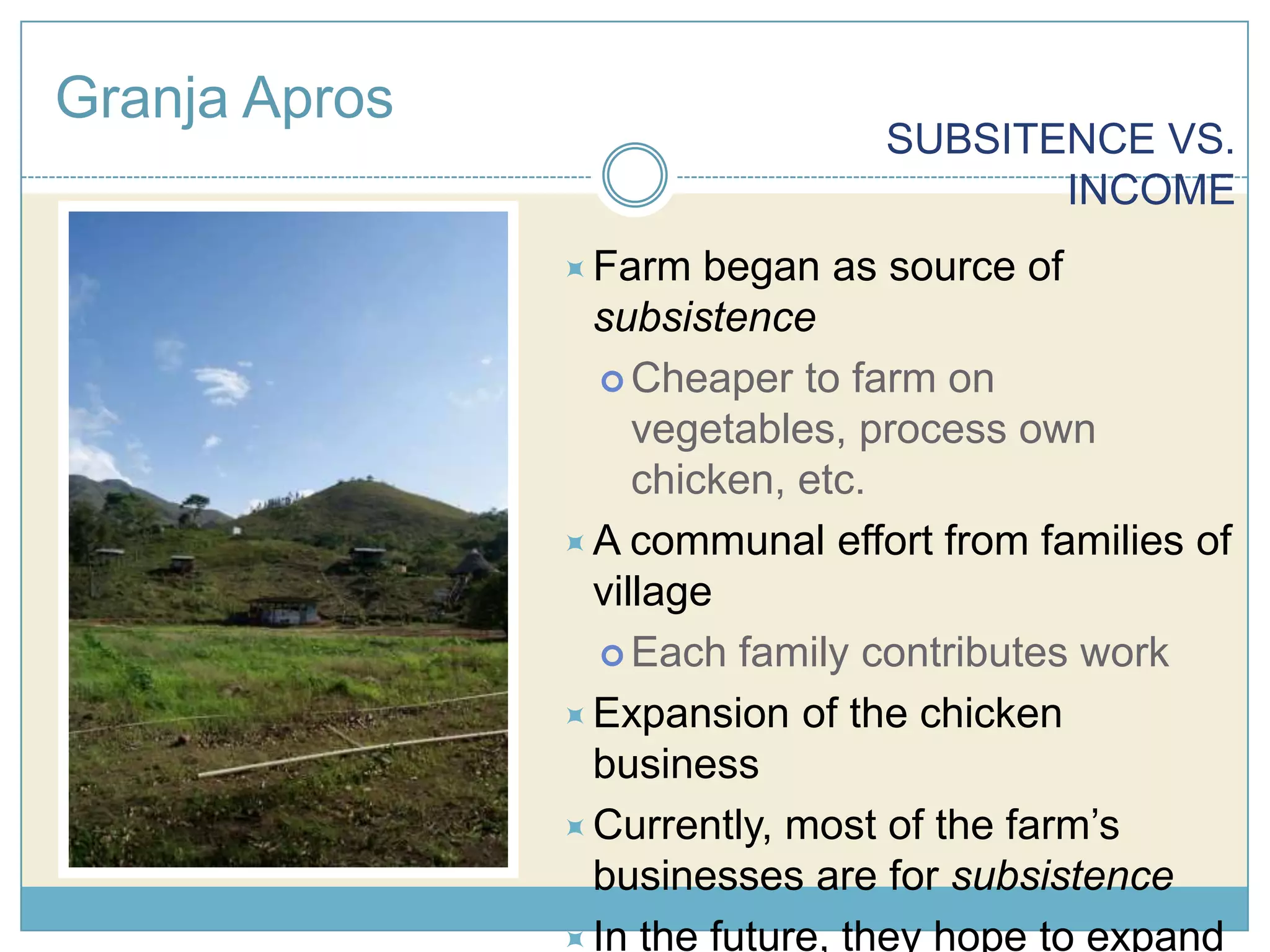 Granja AprosSUBSITENCE VS. INCOMEFarm began as source of subsistence Cheaper to farm on vegetables, process own chicken, etc. A communal effort from families of village Each family contributes work Expansion of the chicken business Currently, most of the farm’s businesses are for subsistence In the future, they hope to expand the farm as a source of steady income 