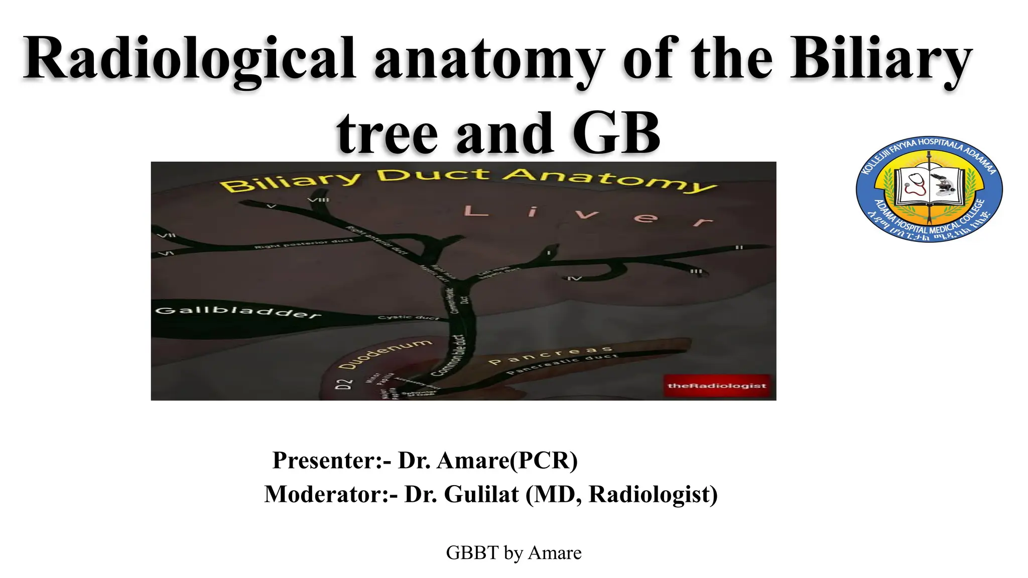 Biliary Tree Anatomy Radiopaedia