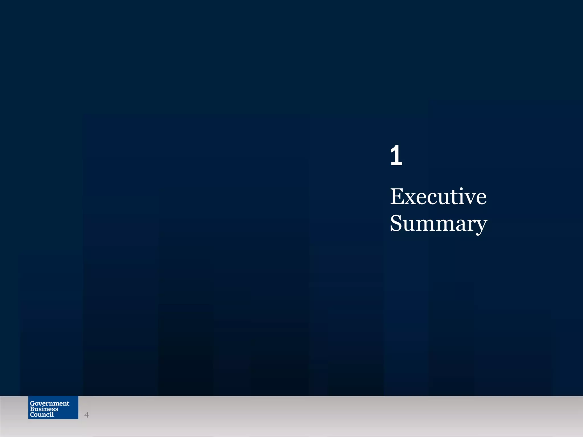 4
1
Executive
Summary
 