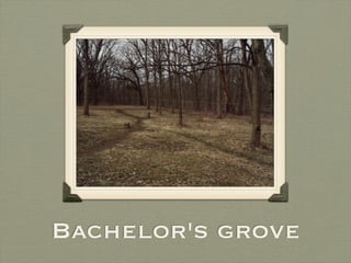 Bachelor's grove
 