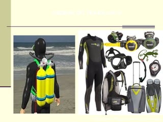 Prof. Maria Regina Lemos Guimarães
HIGIENE DO TRABALHO II
 