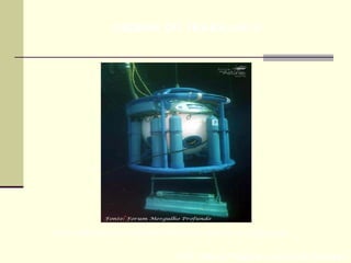 Prof. Maria Regina Lemos Guimarães
HIGIENE DO TRABALHO II
Sino com lastro de Mergulho Profundo, regime de Saturação
 