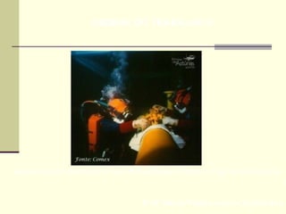 Prof. Maria Regina Lemos Guimarães
Mergulhadores trabalhando em alta Profundidades 320mts, no Oleduto da Petrobras.
HIGIENE DO TRABALHO II
 