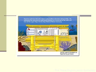 Prof. Maria Regina Lemos Guimarães
 