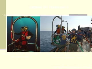 Prof. Maria Regina Lemos Guimarães
Mergulhador no cesto em operação
de mergulho raso
Manobra com os mergulhadores para a
operação de mergulho - raso
HIGIENE DO TRABALHO II
 