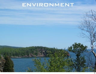 environment




              40
 