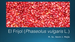 El Frijol (Phaseolus vulgaris L.)
M. Sc. Kevin J. Mejía
 