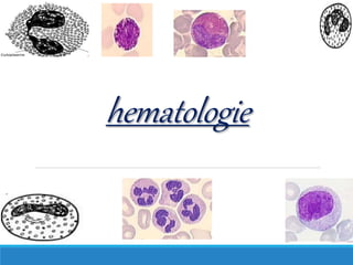 hematologie
 