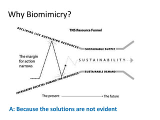 Why Biomimicry?




A: Because the solutions are not evident
 