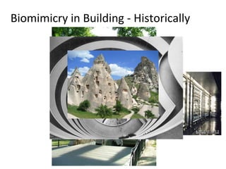 Biomimicry in Building - Historically
 
