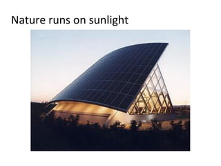 Nature runs on sunlight
 