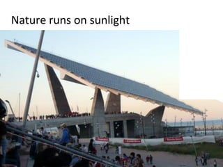 Nature runs on sunlight
 