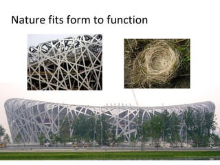 Nature fits form to function
 